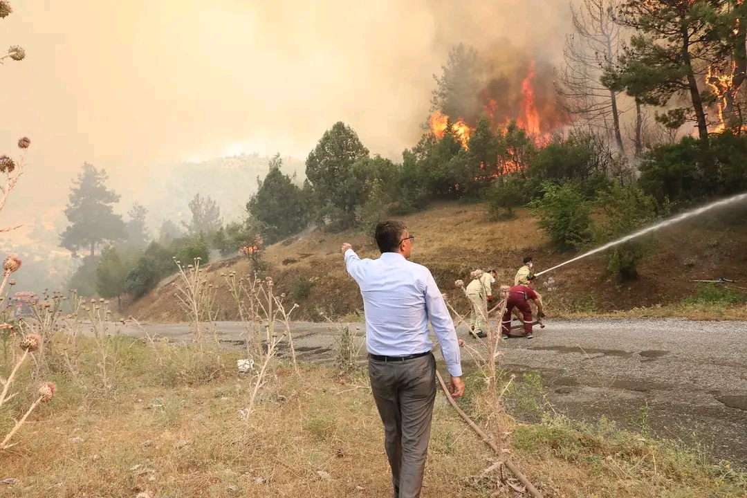 Vali Ali Çelik : Yangın yerleşim yerleri için risk oluşturmuyor 