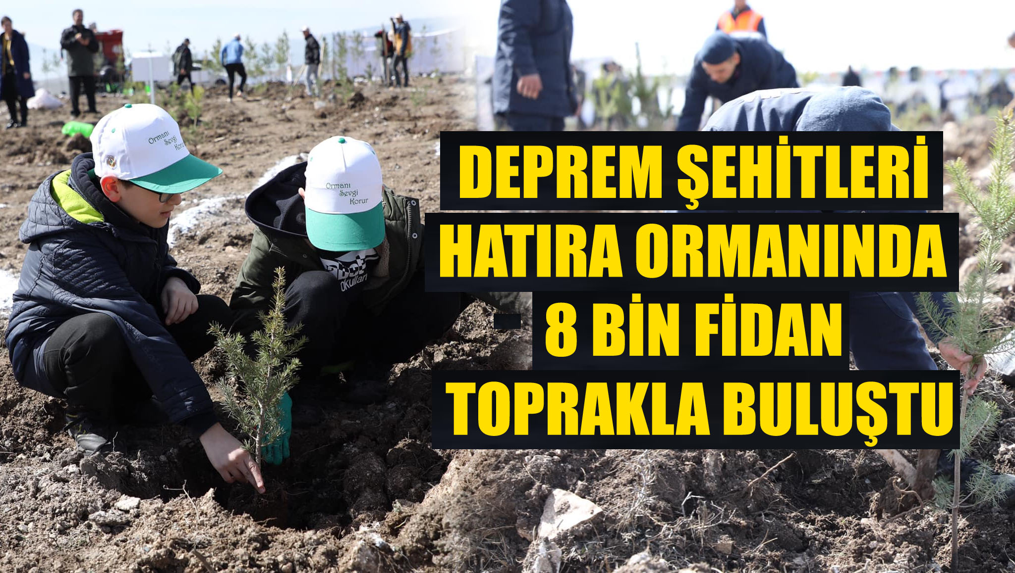 6 Şubat Deprem Şehitleri Ormanına 8 bin fidan dikildi