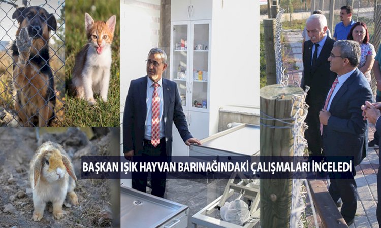 Bölgenin en modern hayvan barınağı Kütahya'da