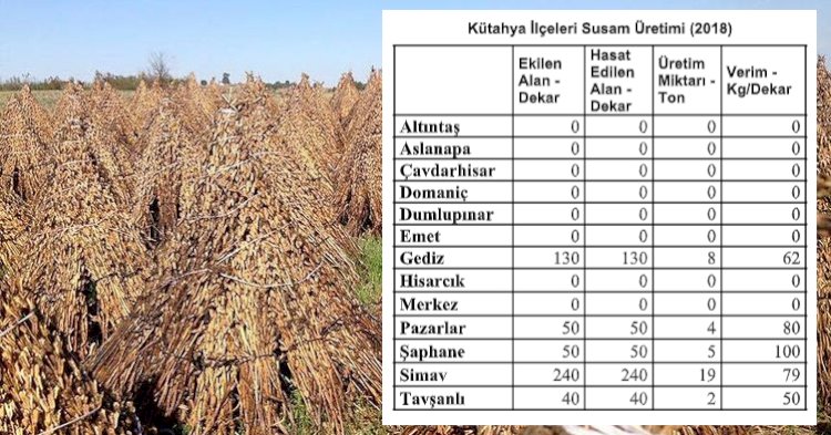 KÜTAHYA SUSAM ÜRETİMİNDE 16.SIRADA