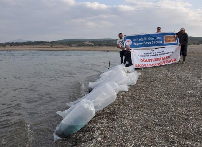 Porsuk Baraj Gölüne Yayın Balığı yavruları bırakıldı