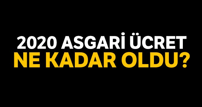 2020 yılı için Asgari Ücret belli oldu