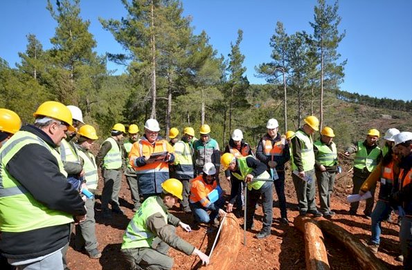 Ormancıların Üretim, Standardizasyon ve İş Güvenliği Tatbikatı…