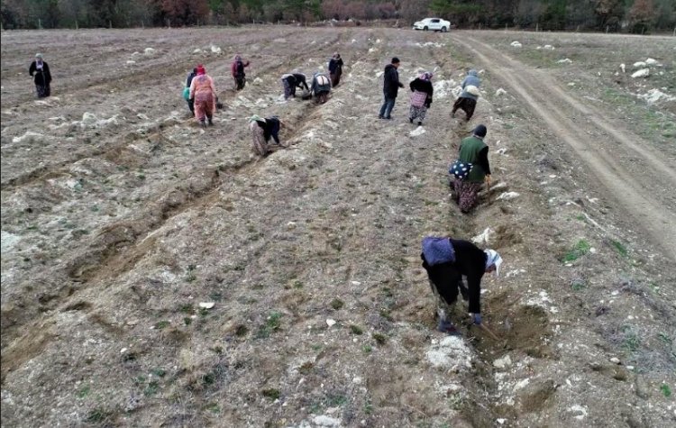 Gelir Getirici Türlerle Vatandaşa Destek…