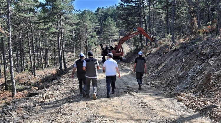 Orman Yol Ağı Genişliyor