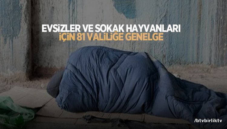 Evsizler ve sokak hayvanları için genelge