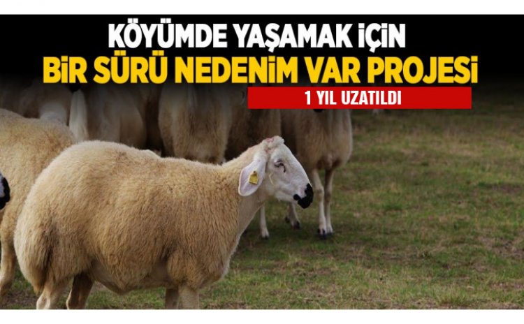 Köyümde Yaşamak İçin Bir Sürü Nedenim Var Projesinin Süresi 1 Yıl Uzatıldı