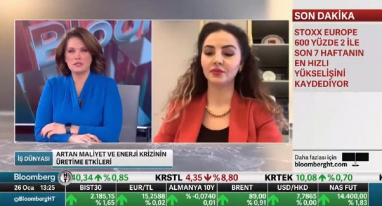 Harika Güral, güncel ekonomik  konuları değerlendirdi