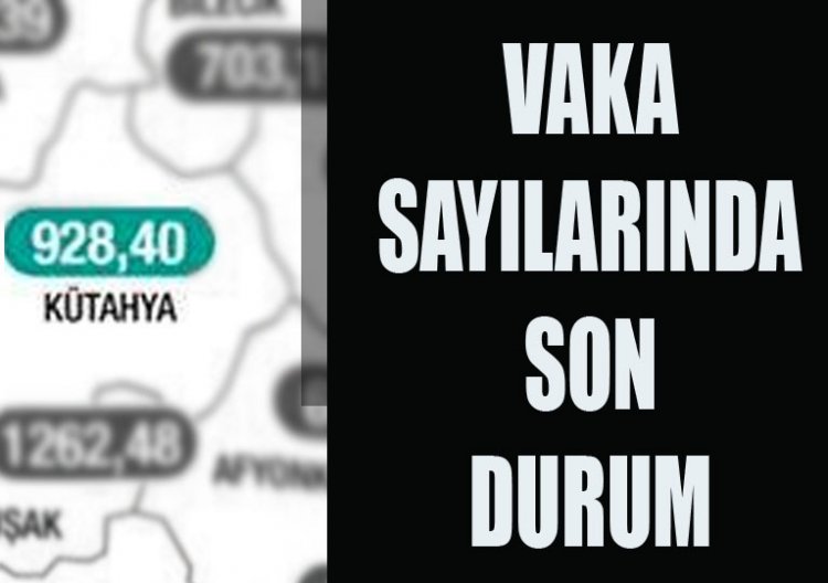 VAKA SAYILARINDA  SON  DURUM