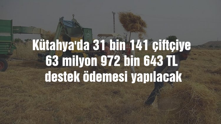 Kütahya'da 31 bin 141 çiftçiye yaklaşık 64 milyon TL destek ödemesi