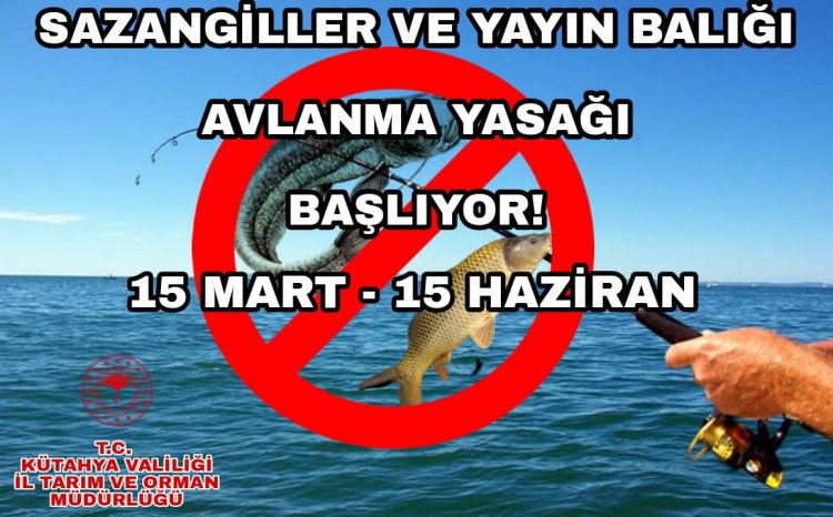 SAZANGİLLER VE YAYIN BALIĞI AV YASAĞI BAŞLIYOR...