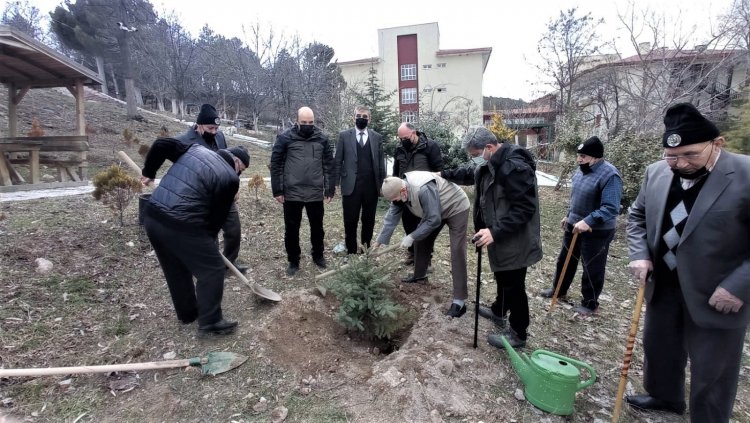 Huzurevi sakinlerinden fidan dikimi