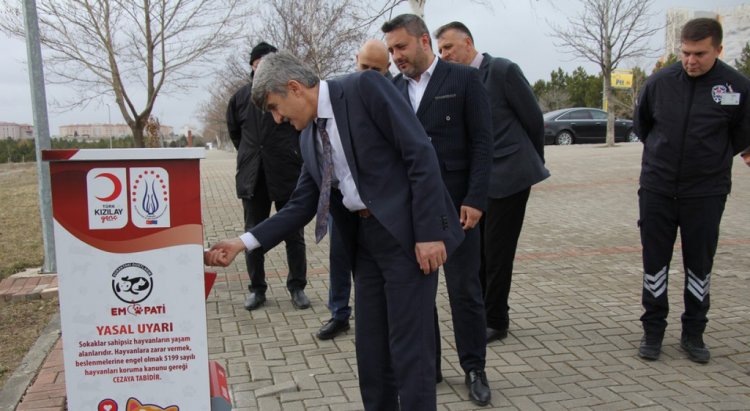 DPÜ'de sokak hayvanları için Mamamatik uygulaması başlatıldı.