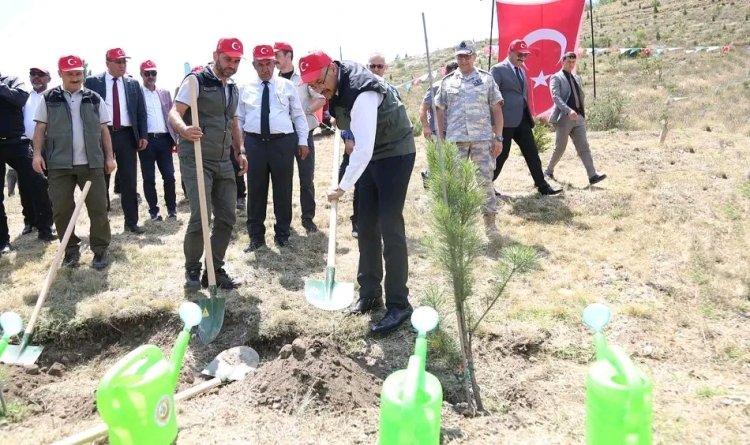 Kütahya'da 15 Temmuz hatıra ormanı oluşturuldu