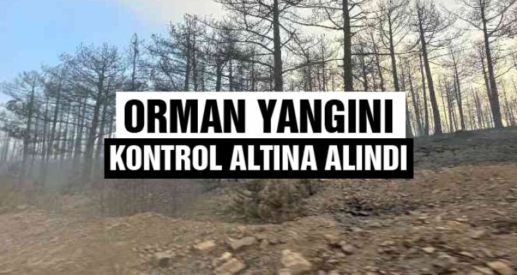 Orman yangını kontrol altına alındı