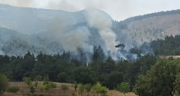 Kışlademirli'de Çıkan Yangın Kontrol Altına Alındı