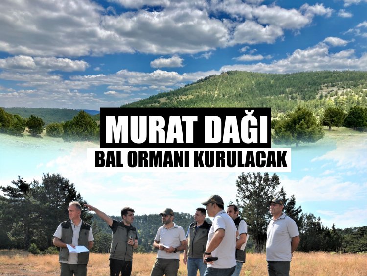 Gediz’de Muratdağı Bal Ormanı Kurulacak..