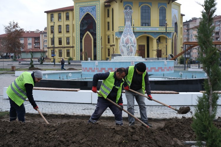 KÜTAHYA KIŞ BİTKİLERİYLE RENKLENECEK