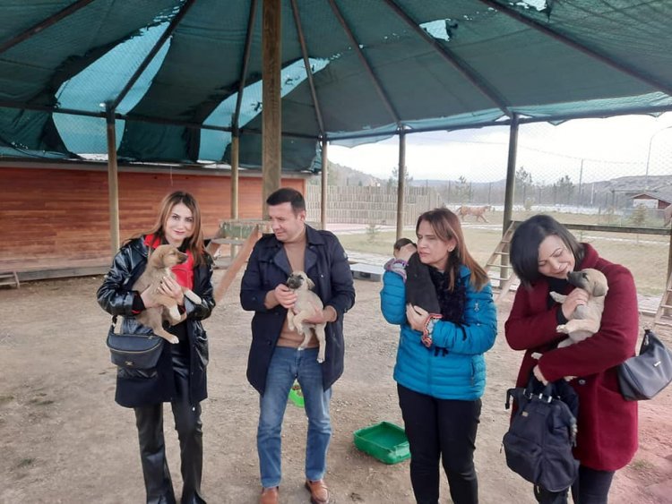 MHP yönetiminden Sokak Hayvanları Bakım Evine Ziyaret