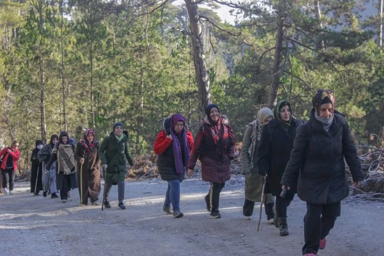 KÜTAHYA'DA DOĞA YÜRÜYÜŞLERİ SÜRÜYOR 